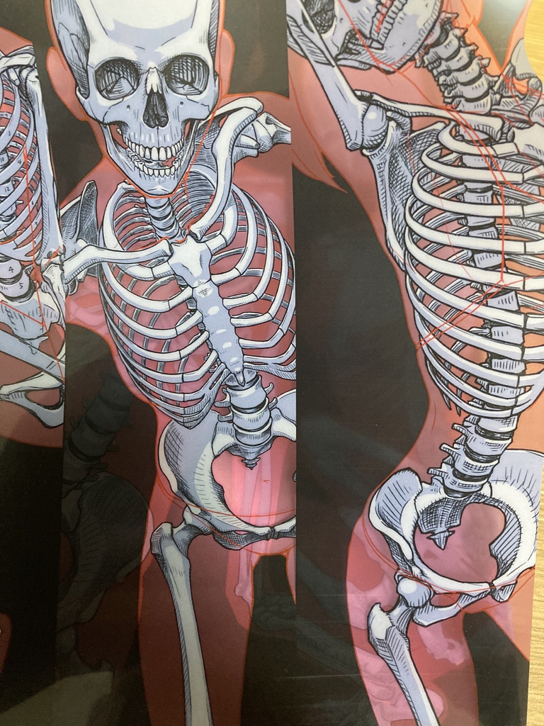 A4半透明クリアファイル(Insights)