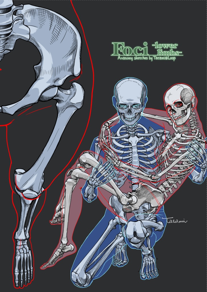 【PDF版】C106新刊「Foci -lower limbs-」