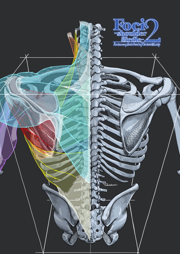 【製本版】C107新刊「Foci 2 -shoulder girdle-」