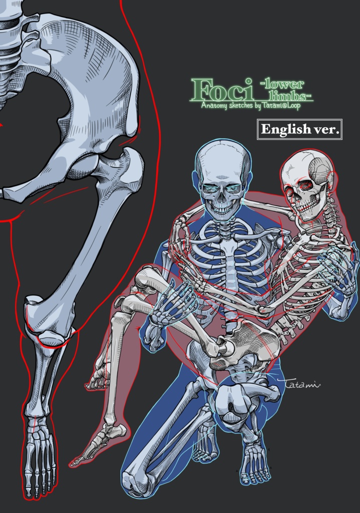 【PDF-English ver.】「Foci -lower limbs-」