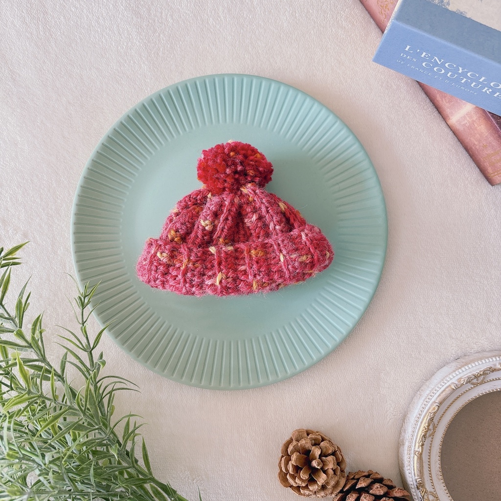 ミックスカラーニット帽 2025