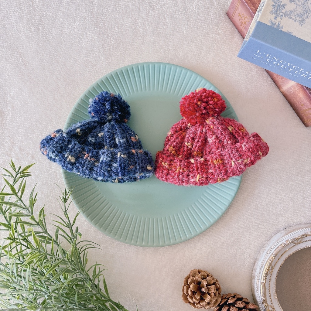 ミックスカラーニット帽 2025