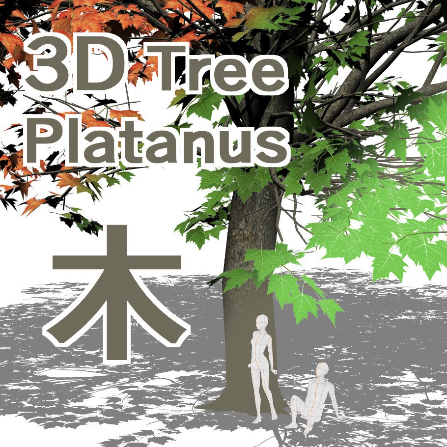 【3D】木 プラタナス v2.71