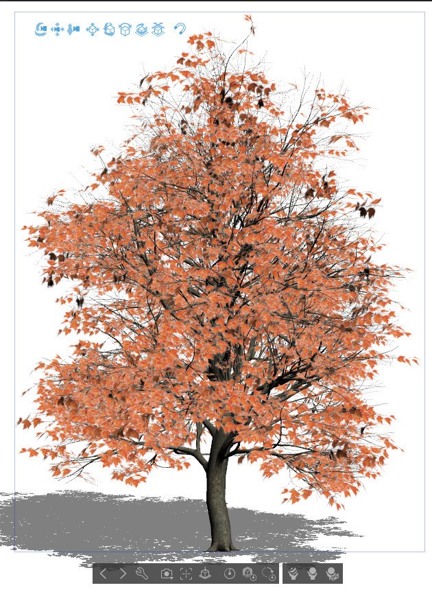 【3D】木 プラタナス v2.71