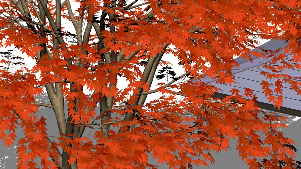 【3D】木 紅葉v3.50 &東屋v1.00