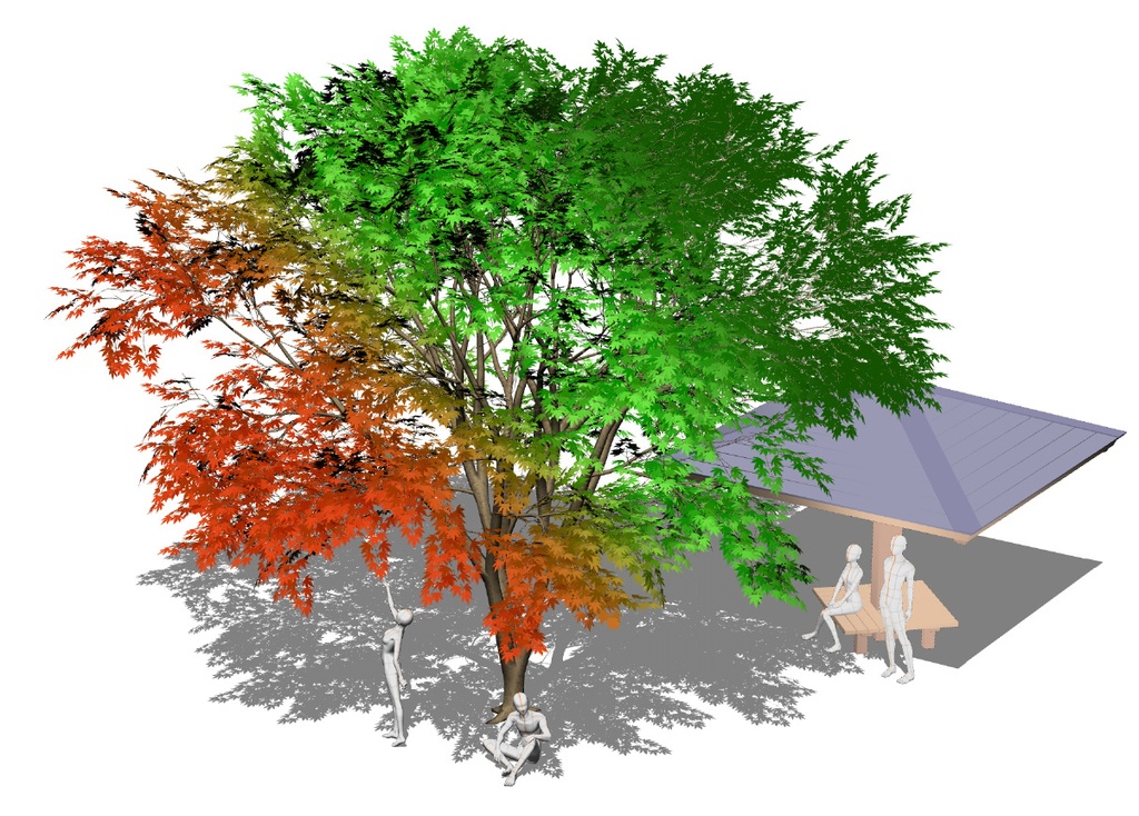 【3D】木 紅葉v3.50 &東屋v1.00