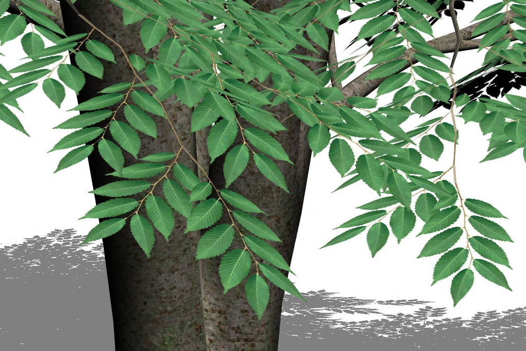 【3D】木 欅 ケヤキv11.20