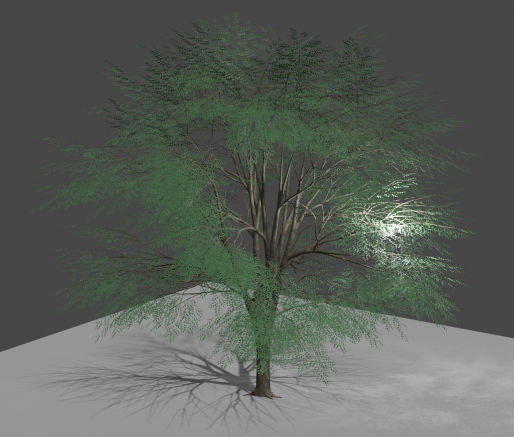 【3D】木 欅 ケヤキv11.20