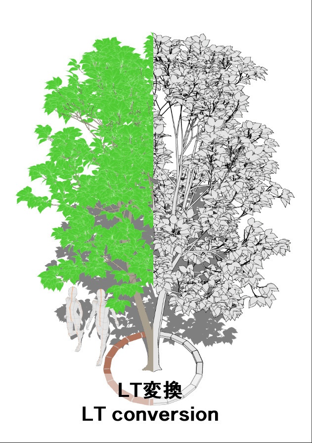 【3D】木 ヤマボウシ v1.30