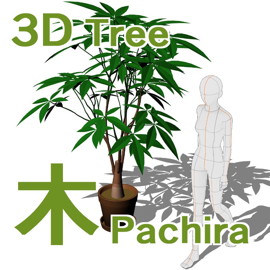 【3D】木 パキラ v1.40