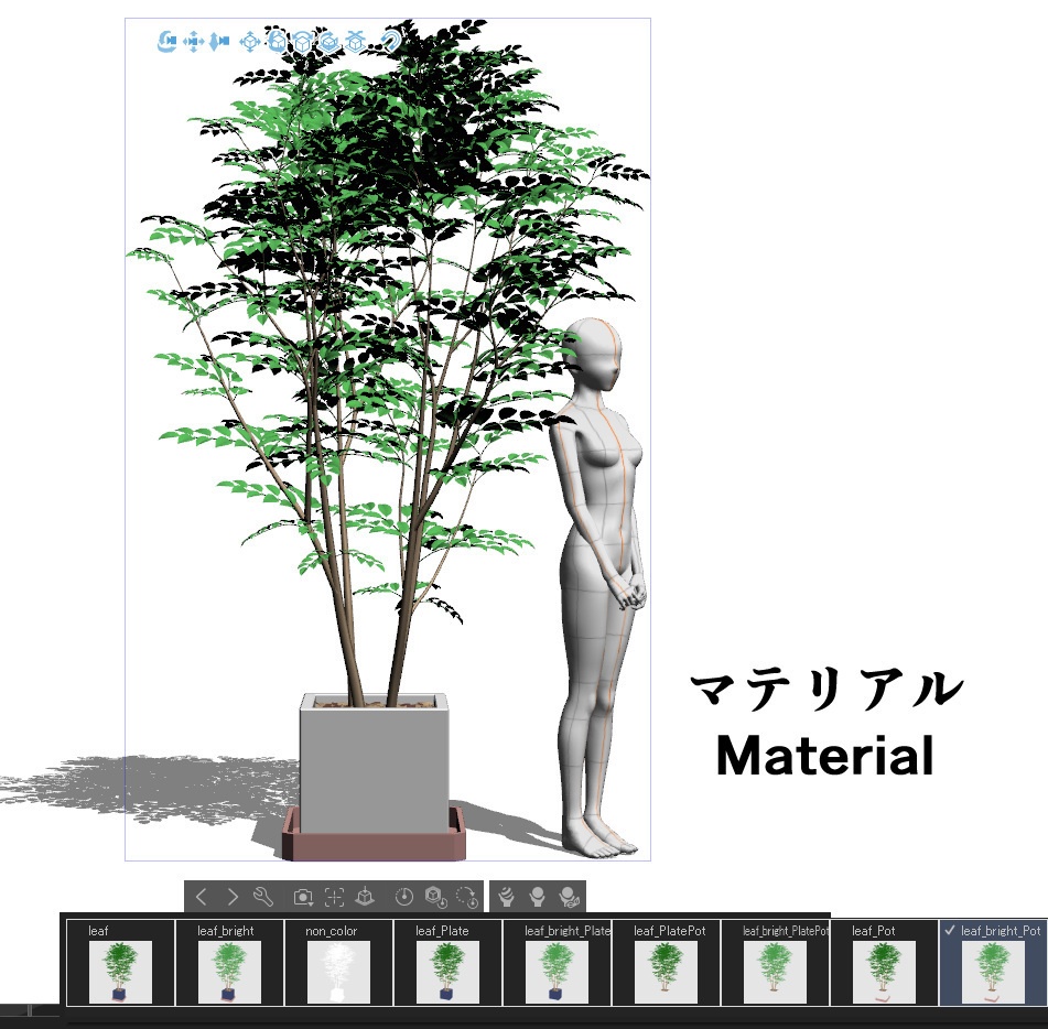 【3D】木 シマトネリコ v1.20