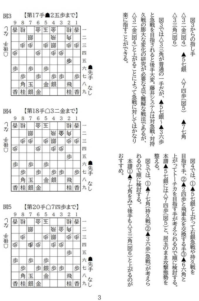 藤井雁木概論 廉価版