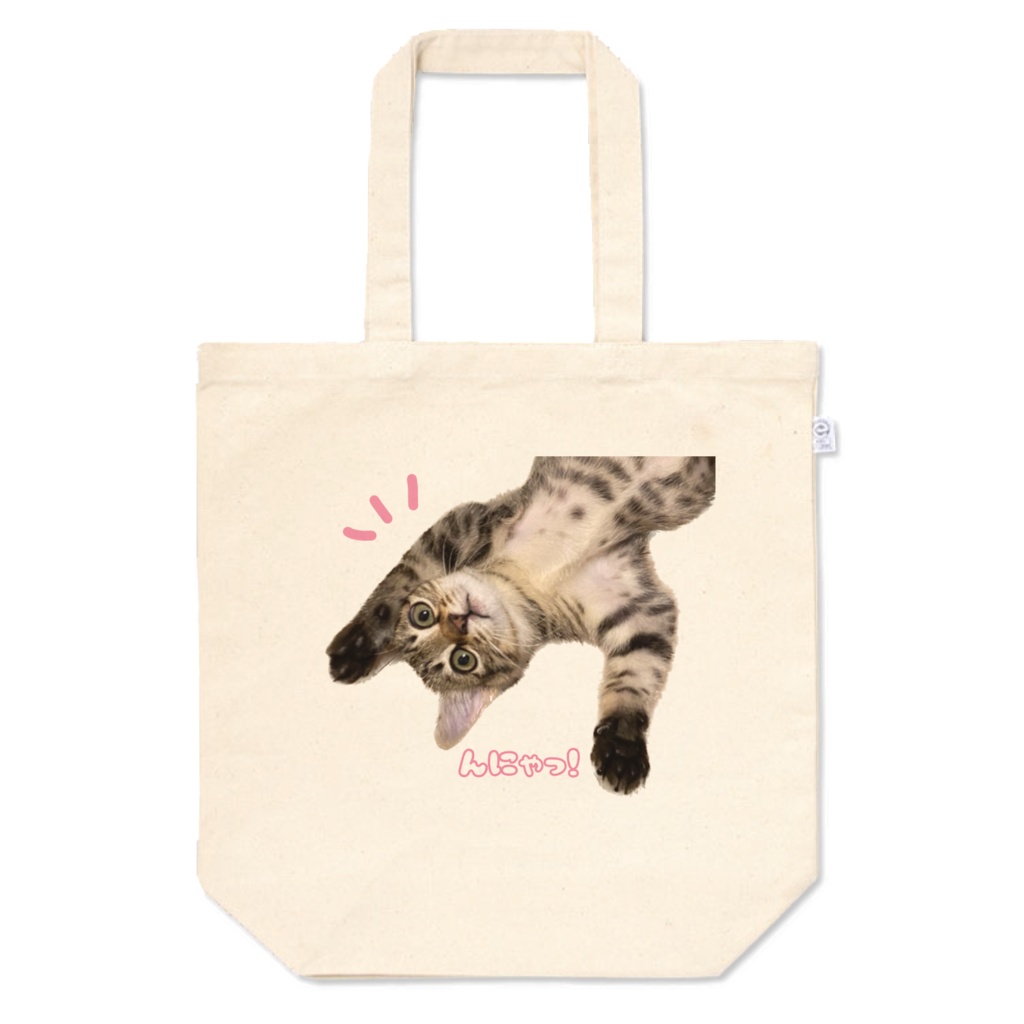 うちの子トート(キキ)