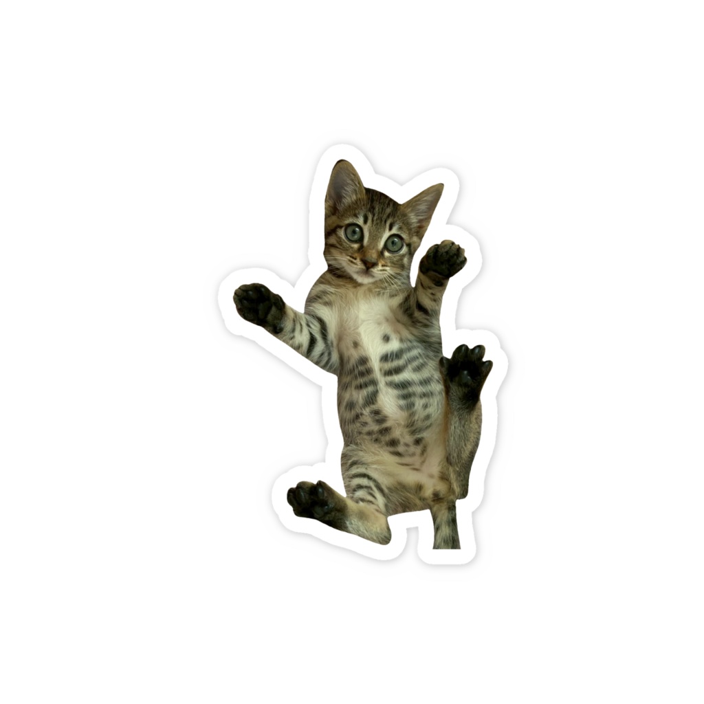 キキステッカー