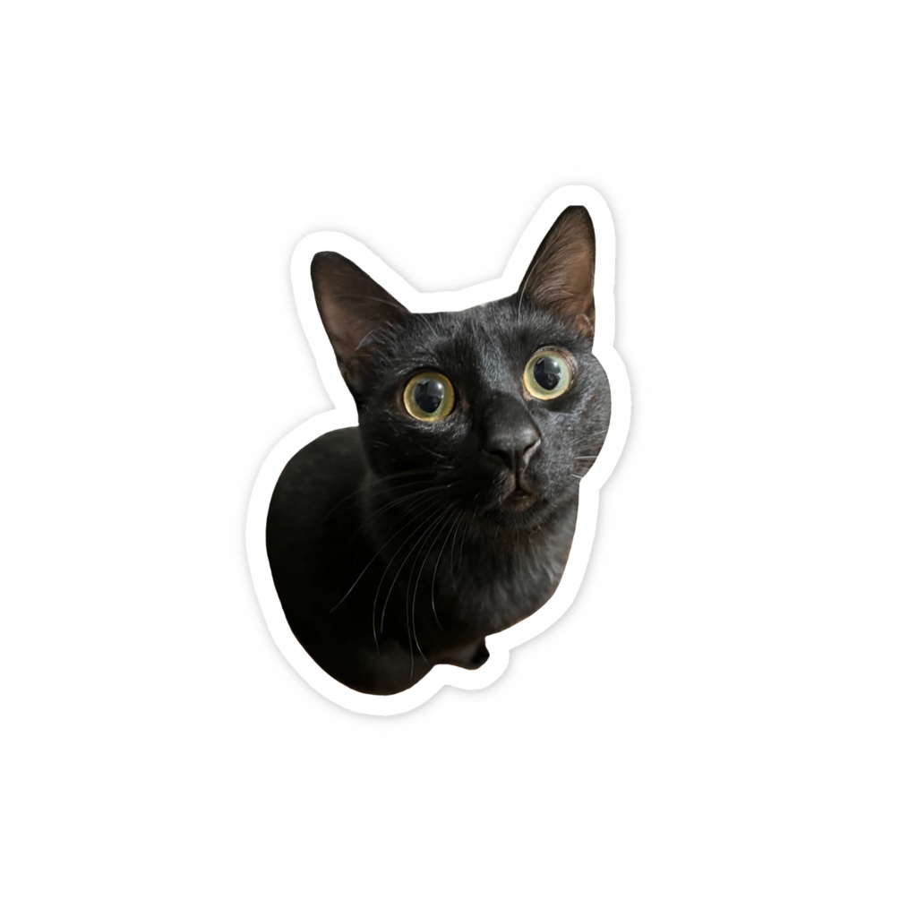 ジジステッカー