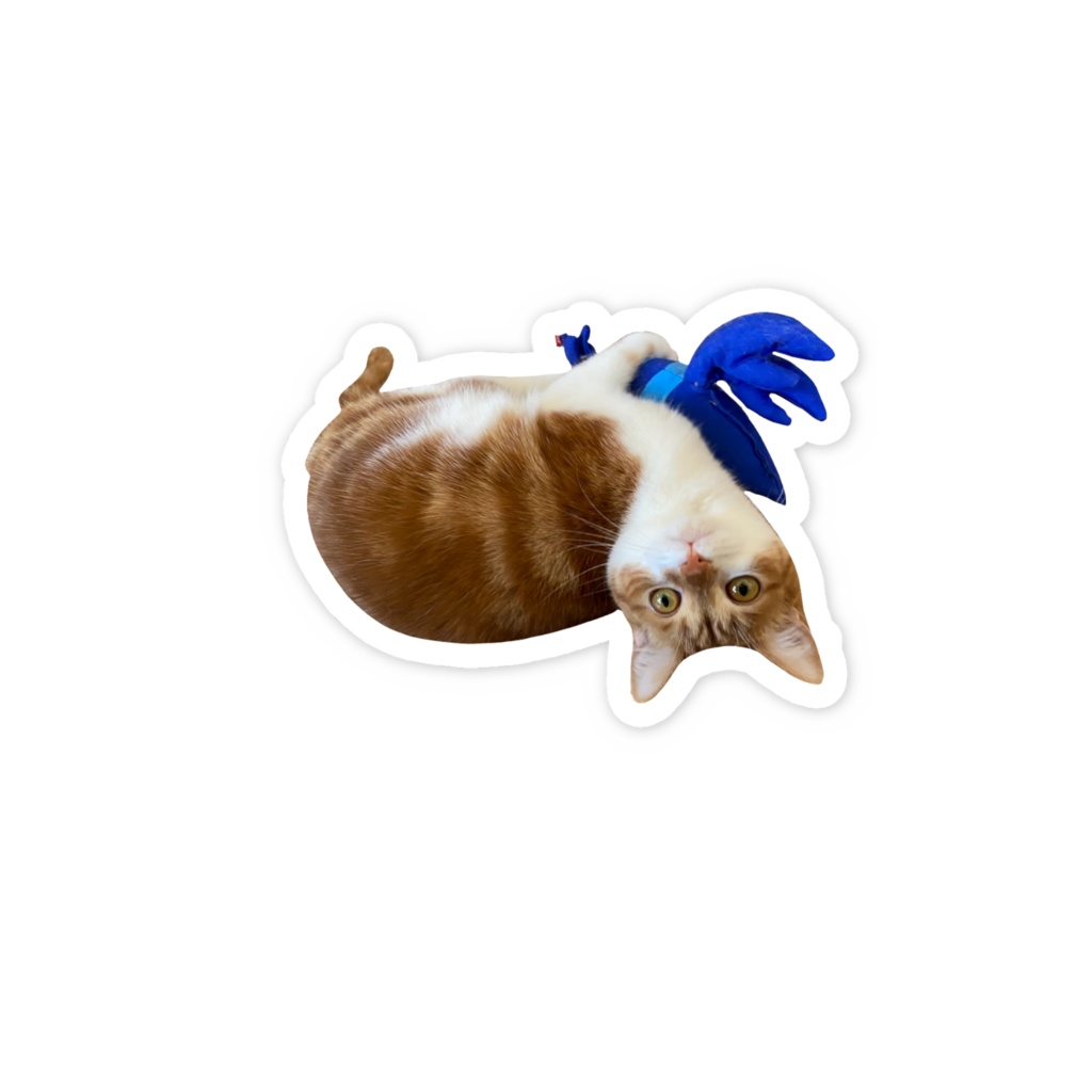 ニアステッカー