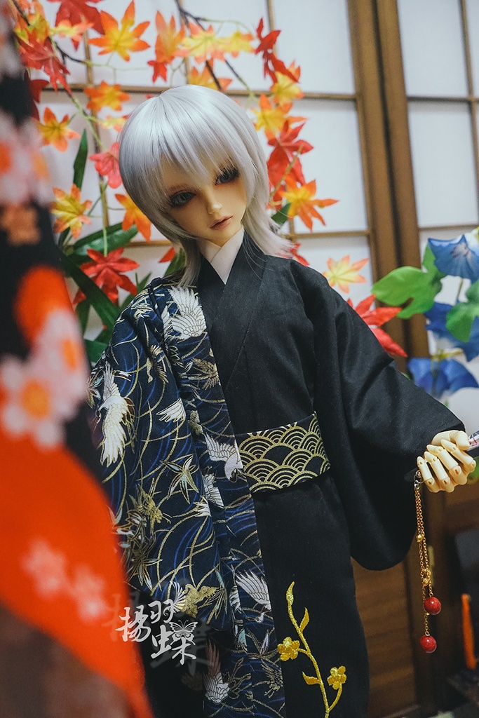 SDGrB 着物+羽織セット 鶴に梅