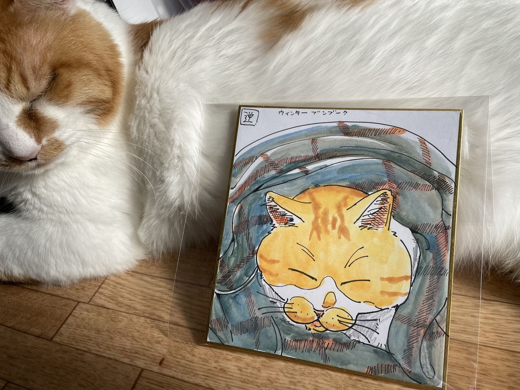 文福色紙