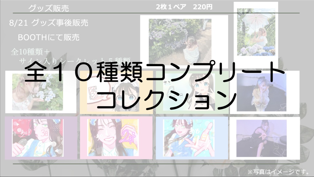 しぐなるチェキ風フォト　全種類10種類コンプリートBOX