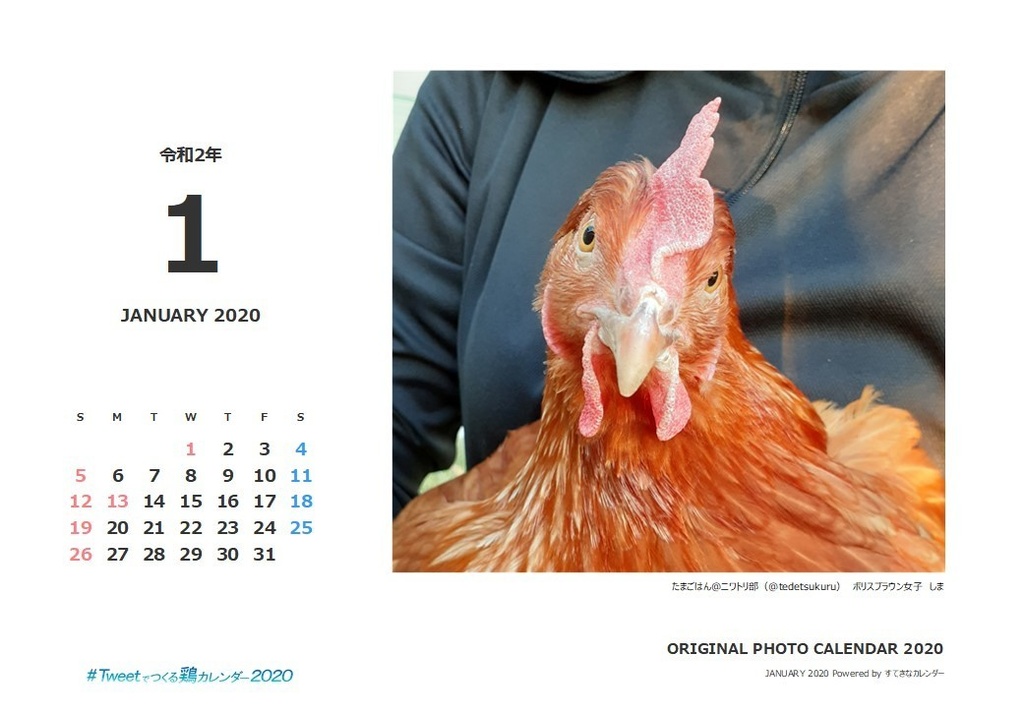 鶏カレンダー ネットプリント版 バックナンバー01月 たまごが先だ にわとりも先だ Booth