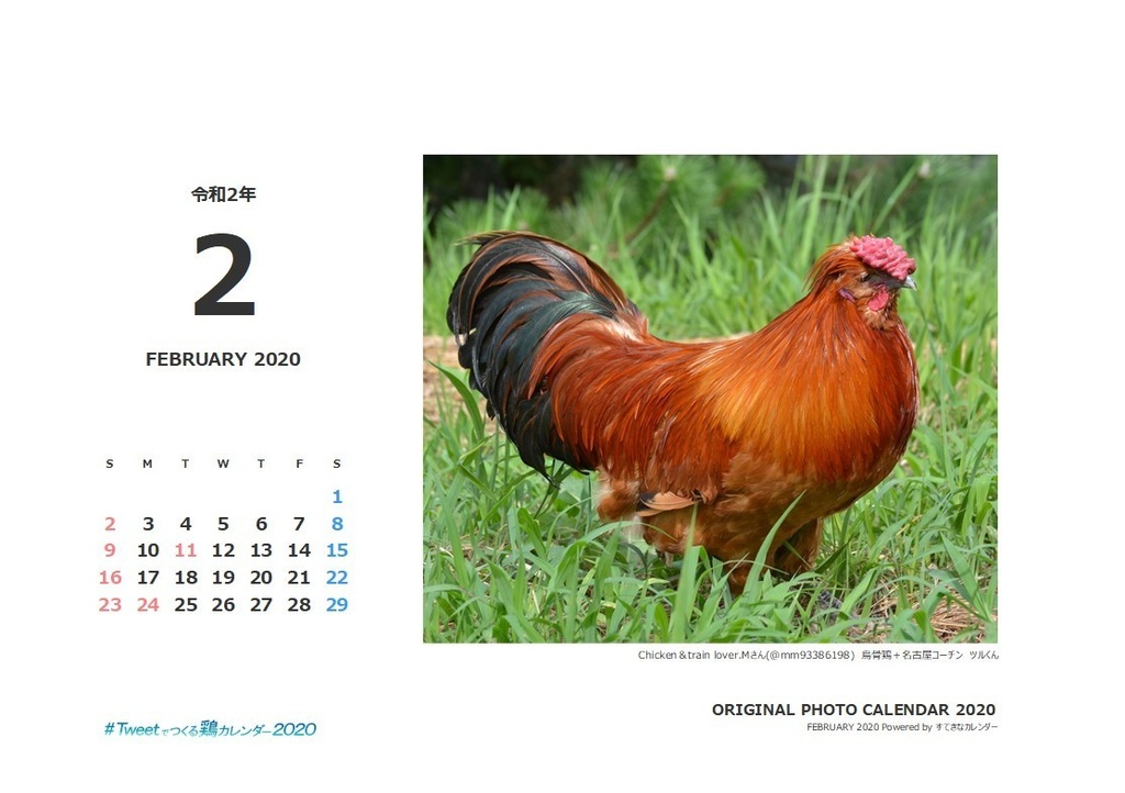 鶏カレンダー ネットプリント版 バックナンバー02月 たまごが先だ にわとりも先だ Booth