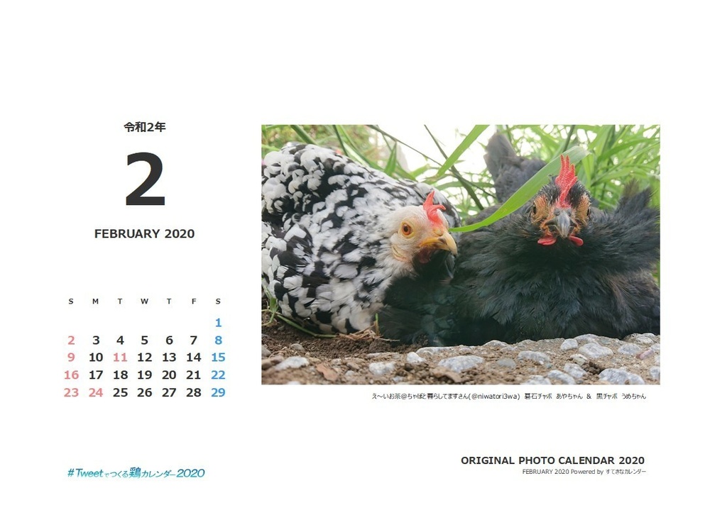 鶏カレンダー/ネットプリント版_バックナンバー02月