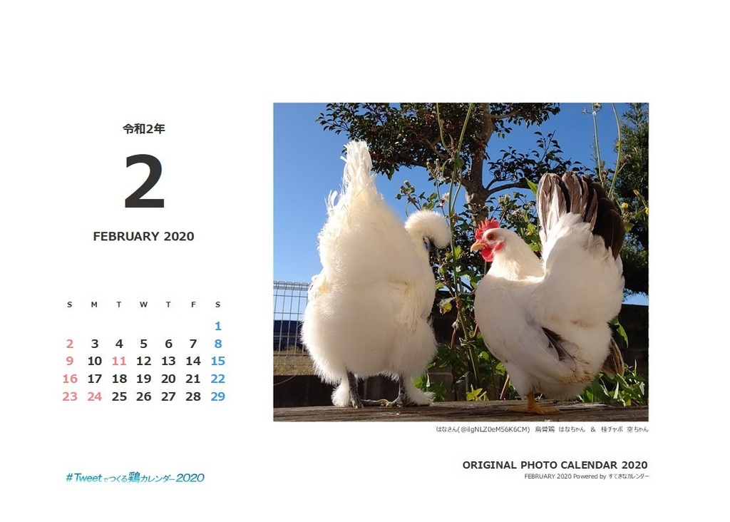 鶏カレンダー/ネットプリント版_バックナンバー02月