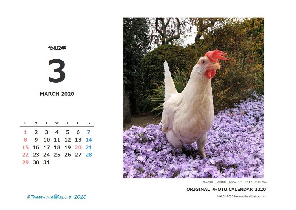 鶏カレンダー/ネットプリント版_バックナンバー03月