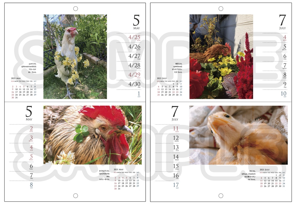 【既刊】2021春スタート/週めくり鶏カレンダー