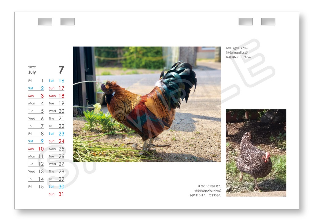【最新】2022-2023 鶏カレンダー(12ヶ月)