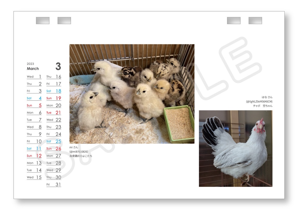 【最新】2022-2023 鶏カレンダー(12ヶ月)