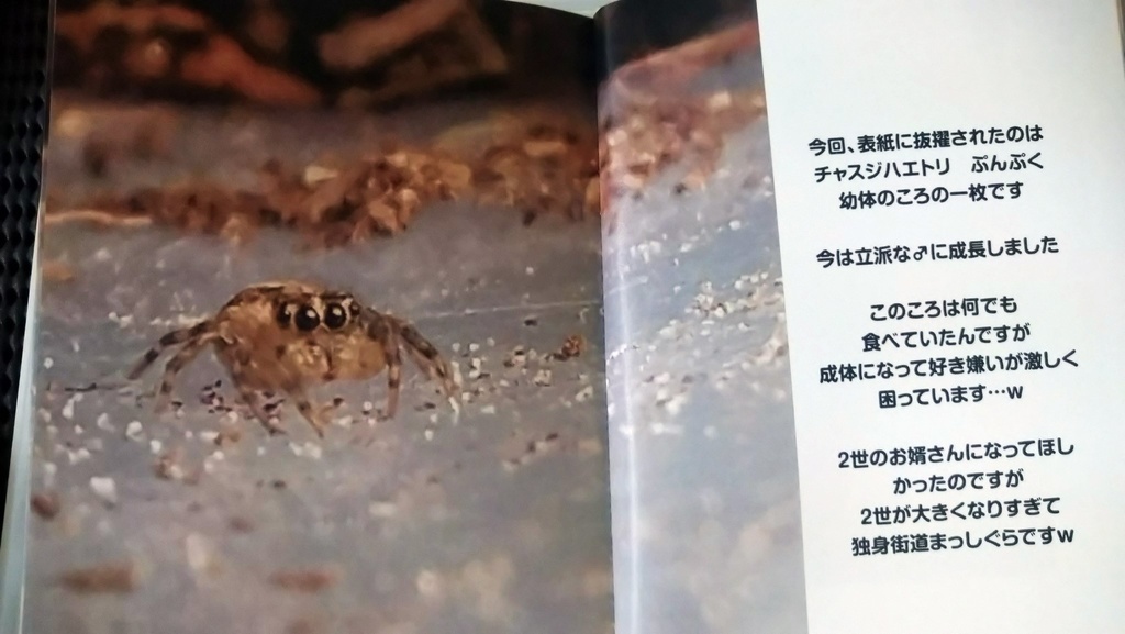 ハエトリグモ　フォトブック　匿名配送希望の方はコチラ