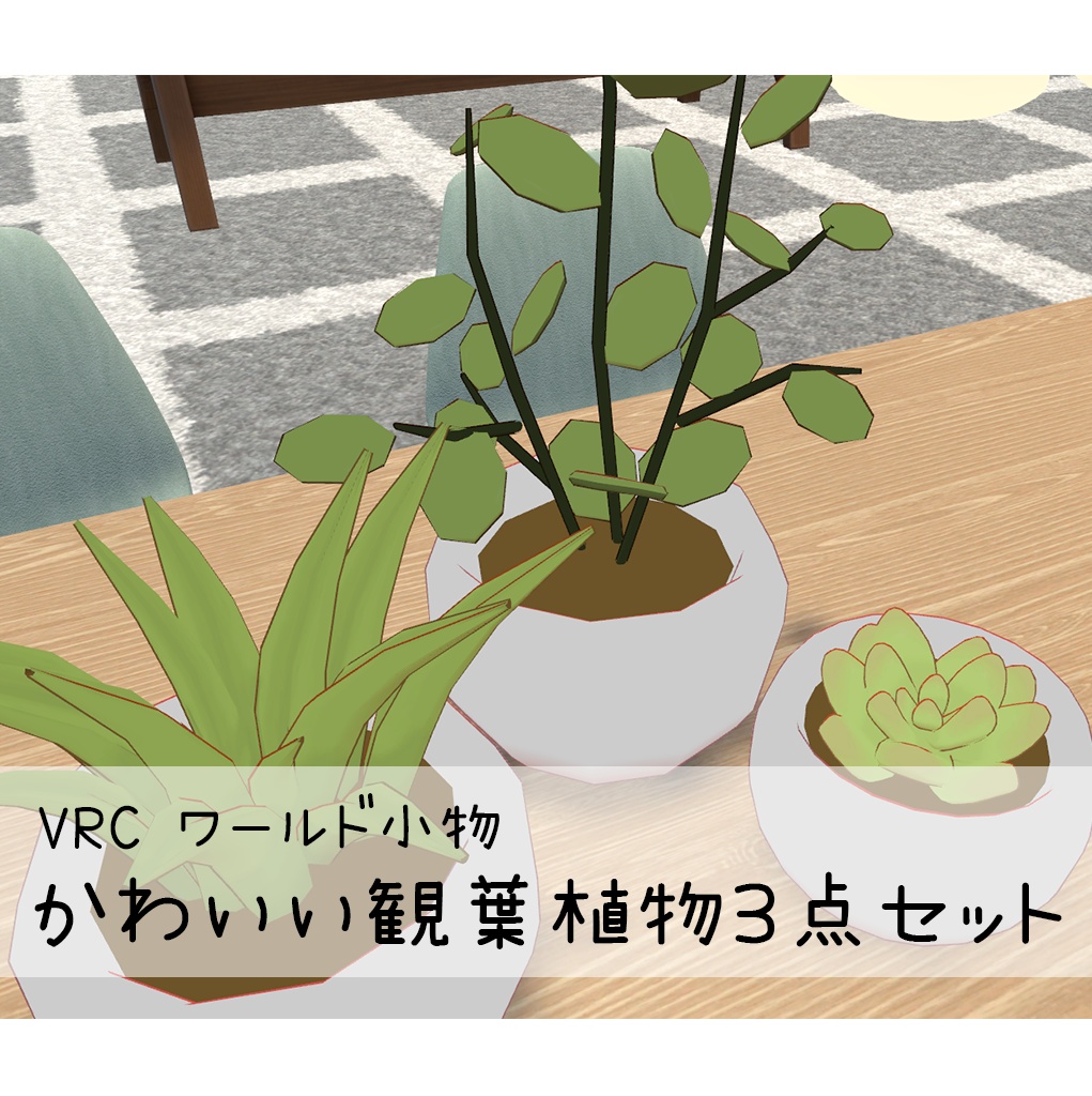 かわいい観葉植物３点セット