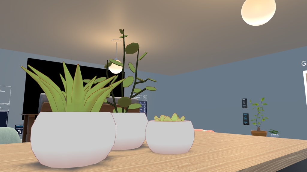 かわいい観葉植物3点セット