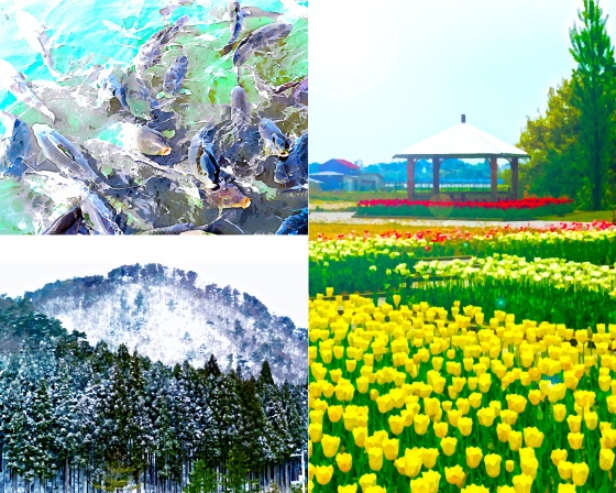 「写絵」 5分で写真が絵に変わる方法