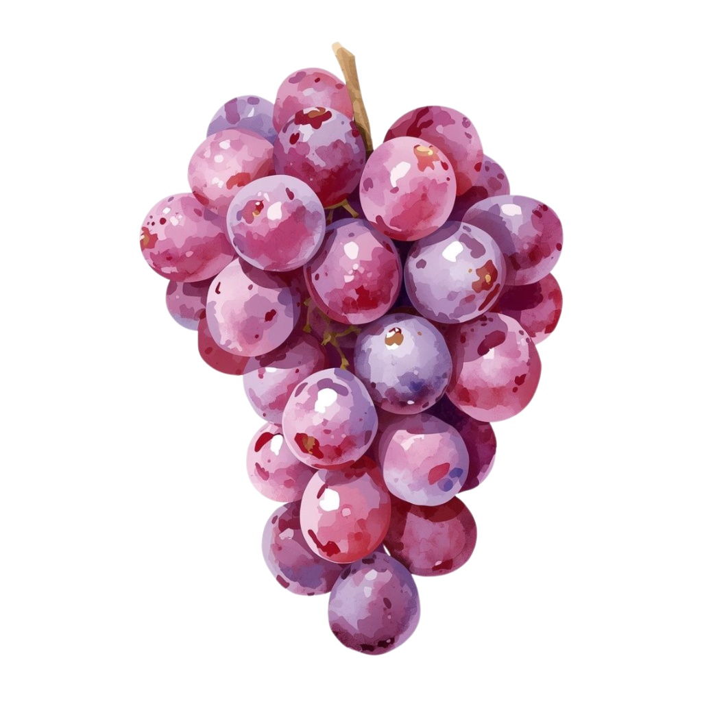 水彩画風・果物クリップアートセット(全10点)