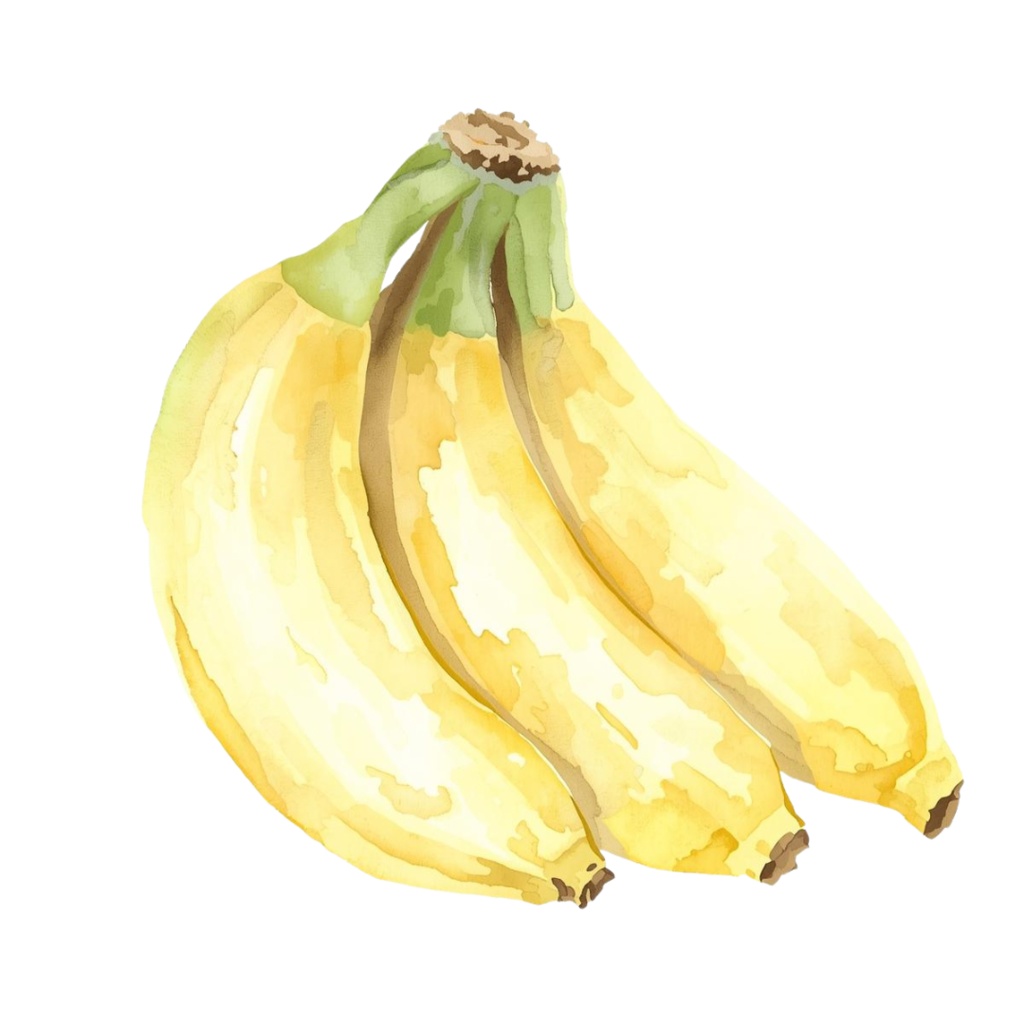 水彩画風・果物クリップアートセット(全10点)