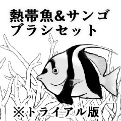 【ブラシ】熱帯魚ブラシ試用版【クリスタ】