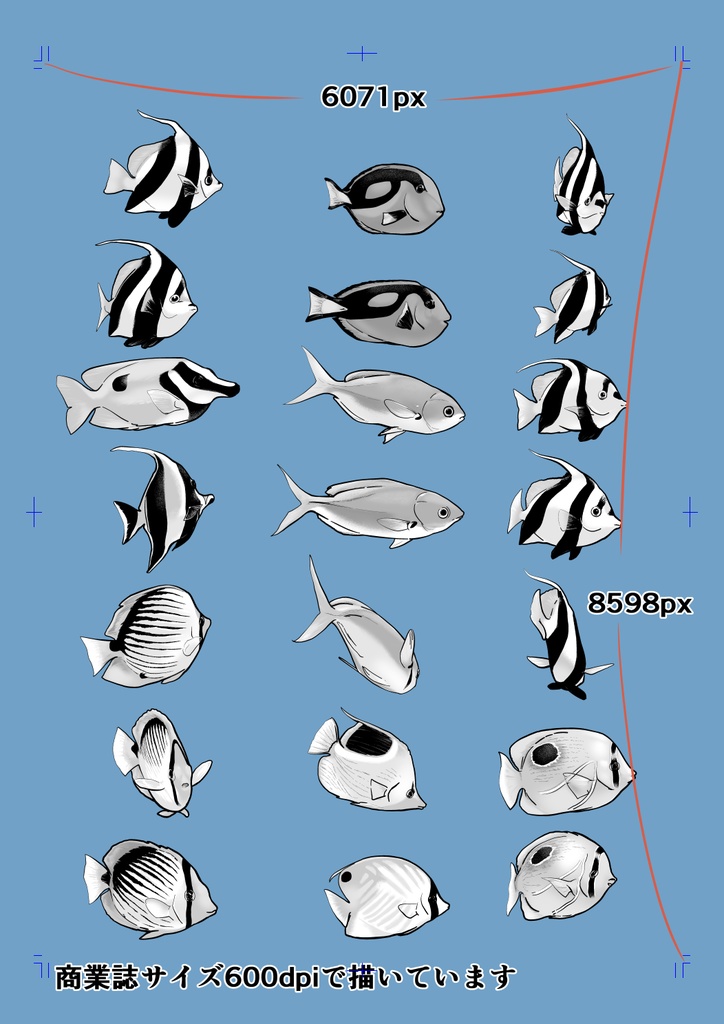 熱帯魚&サンゴブラシセット