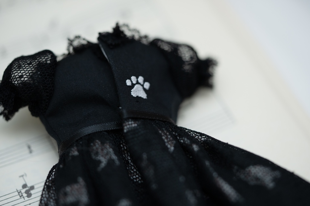 猫のワンピース（黒）　22センチ用
