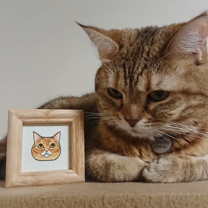 額入りイラスト◆ちびねこ似顔絵