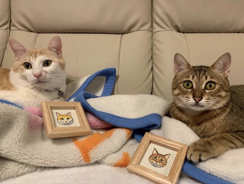 額入りイラスト◆ちびねこ似顔絵