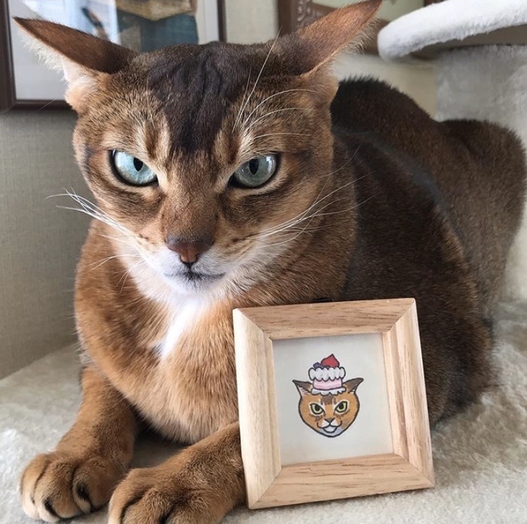 額入りイラスト◆ちびねこ似顔絵