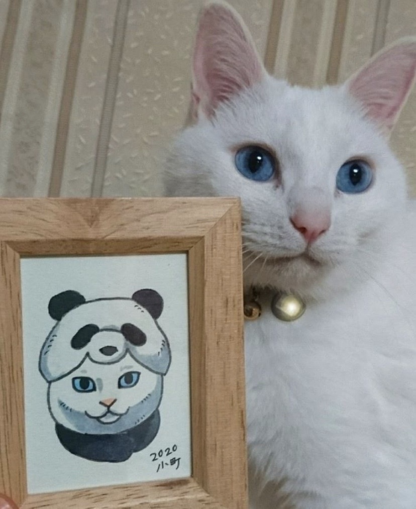 額入りイラスト◆おめかしちびねこ似顔絵