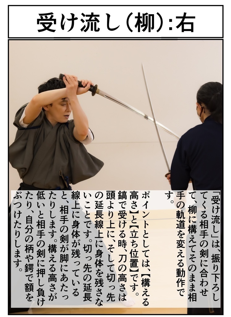 はなまる剣遊会の日本刀でのさばき方 基本形(オンデマンド版)