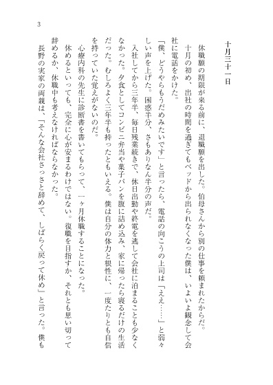 【完売】十一月とともに過ぎゆく