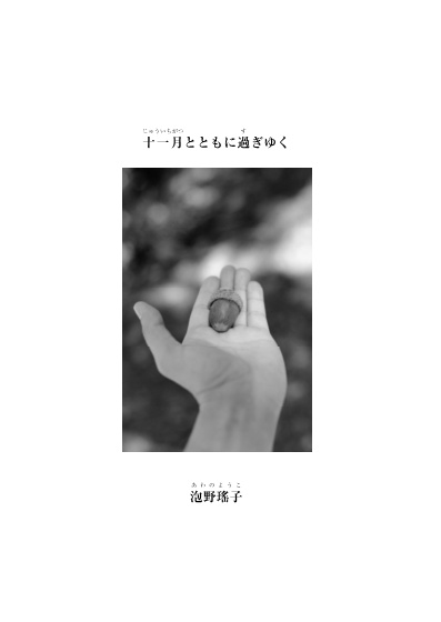 【完売】十一月とともに過ぎゆく