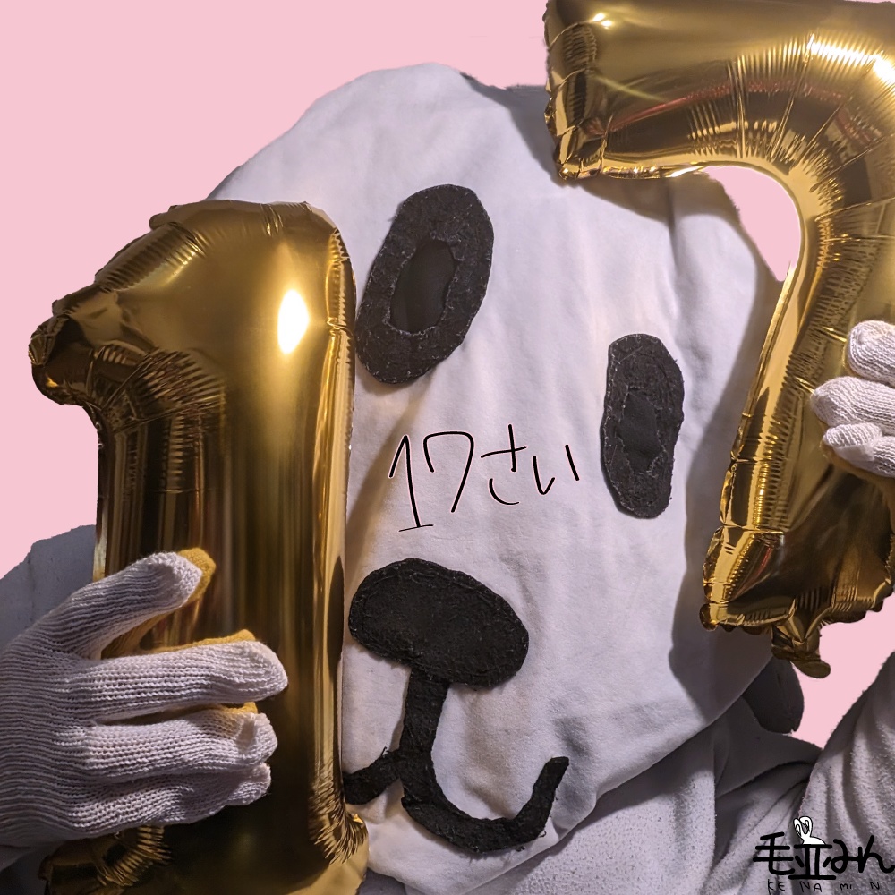 17さい