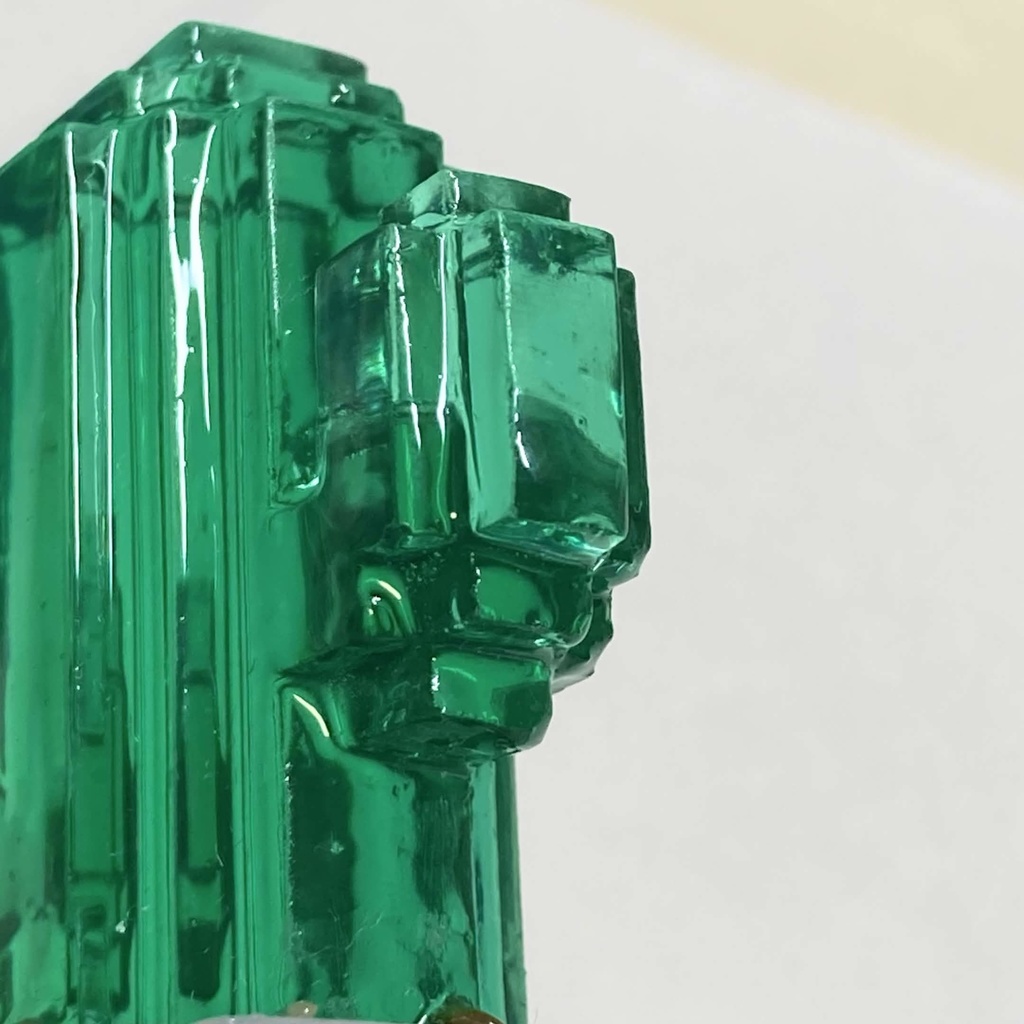 ボクセルサボテン