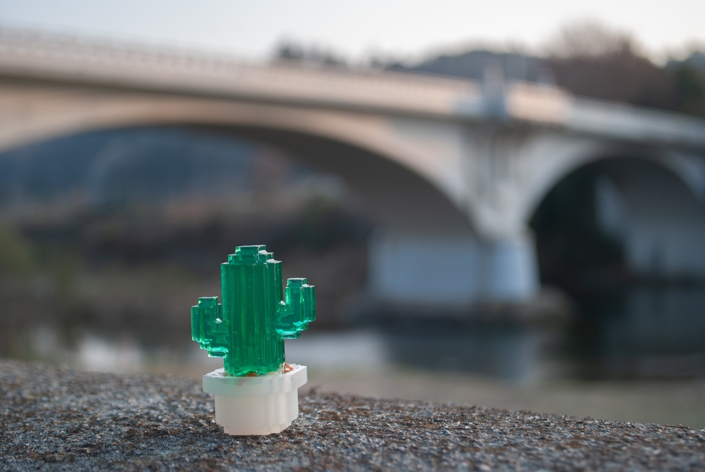 ボクセルサボテン